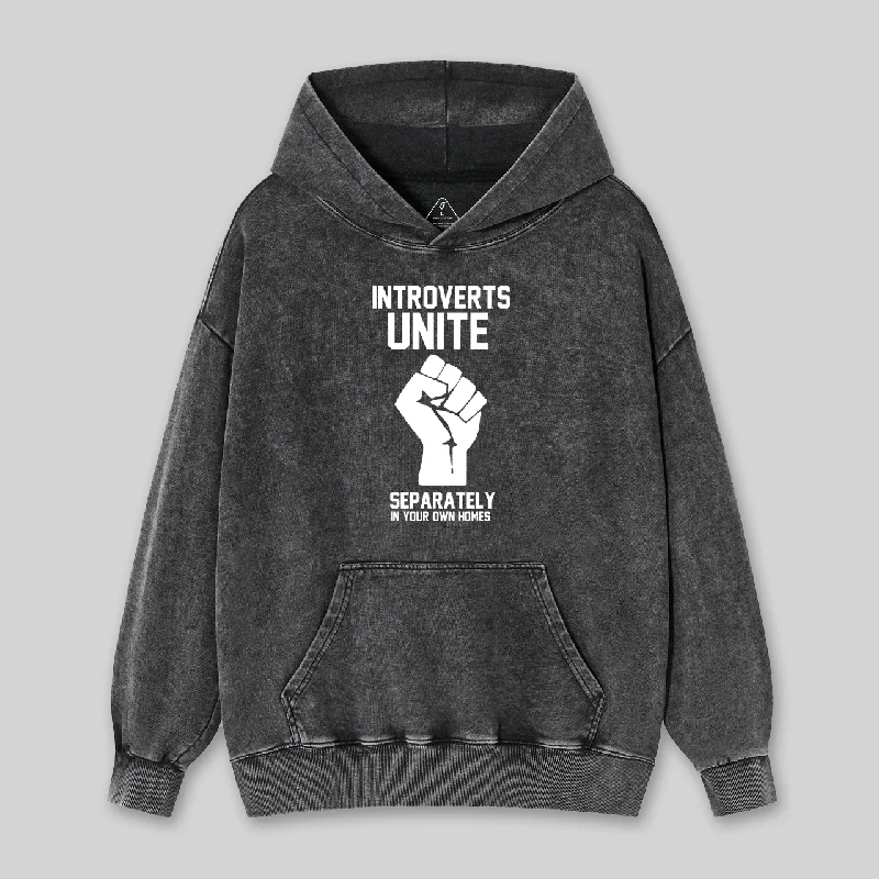 Introverts Unite Geek Washed Hoodie